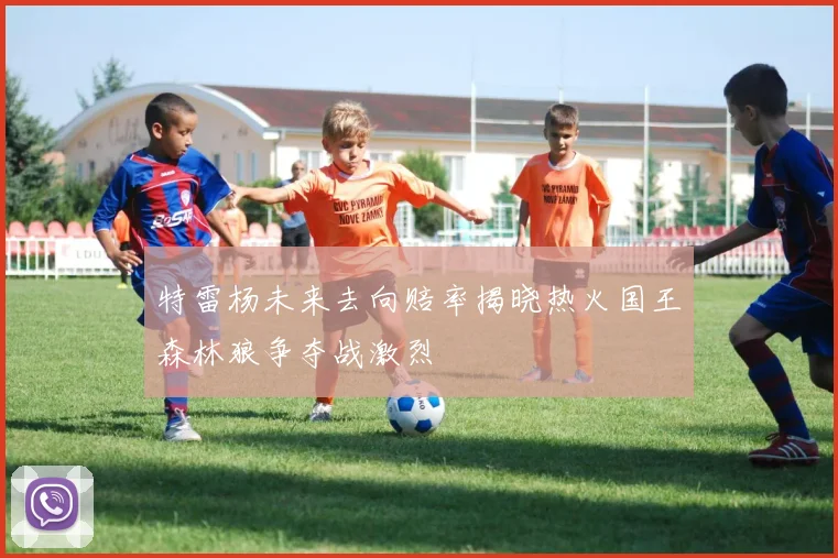 特雷杨未来去向赔率揭晓热火国王森林狼争夺战激烈