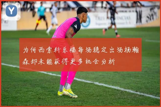 为何西索科乐福每场稳定出场杨瀚森却未能获得更多机会分析