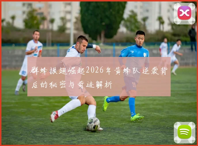 群蜂振翅崛起2026年黄蜂队逆袭背后的秘密与奇迹解析