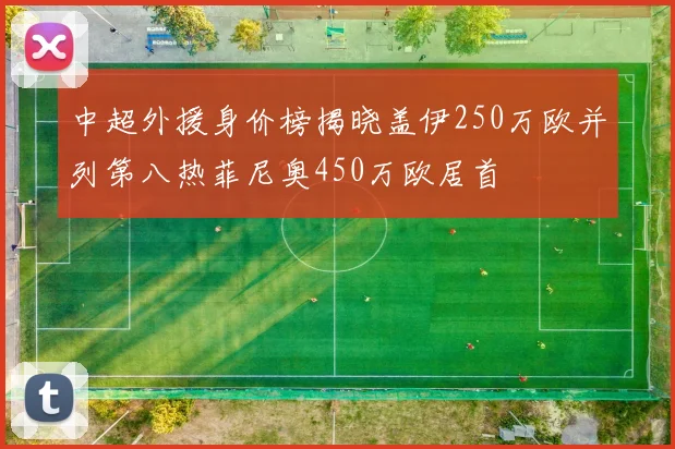 中超外援身价榜揭晓盖伊250万欧并列第八热菲尼奥450万欧居首