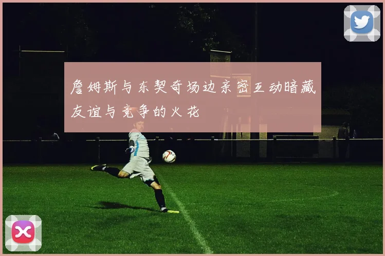 詹姆斯与东契奇场边亲密互动暗藏友谊与竞争的火花