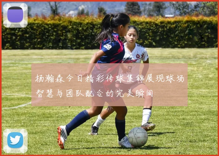 杨瀚森今日精彩传球集锦展现球场智慧与团队配合的完美瞬间