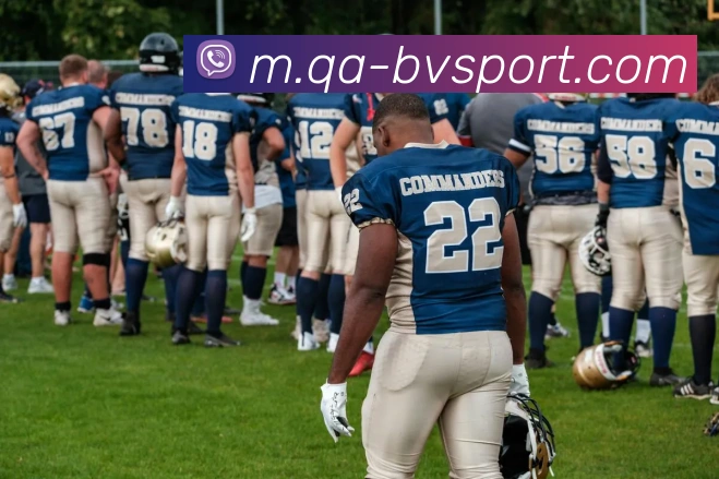 宝威体育平台生态图