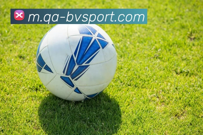 宝威体育APP 封面图